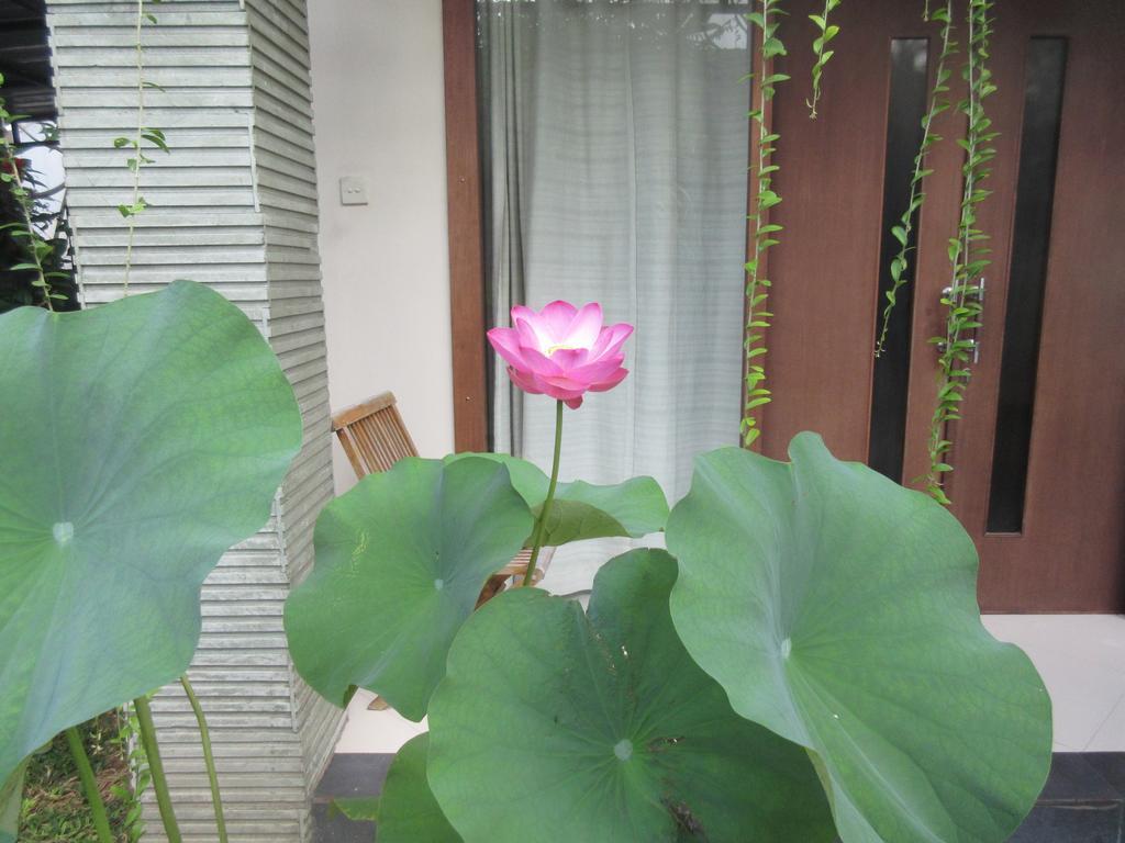 Rika Sanur Homestay Ngoại thất bức ảnh